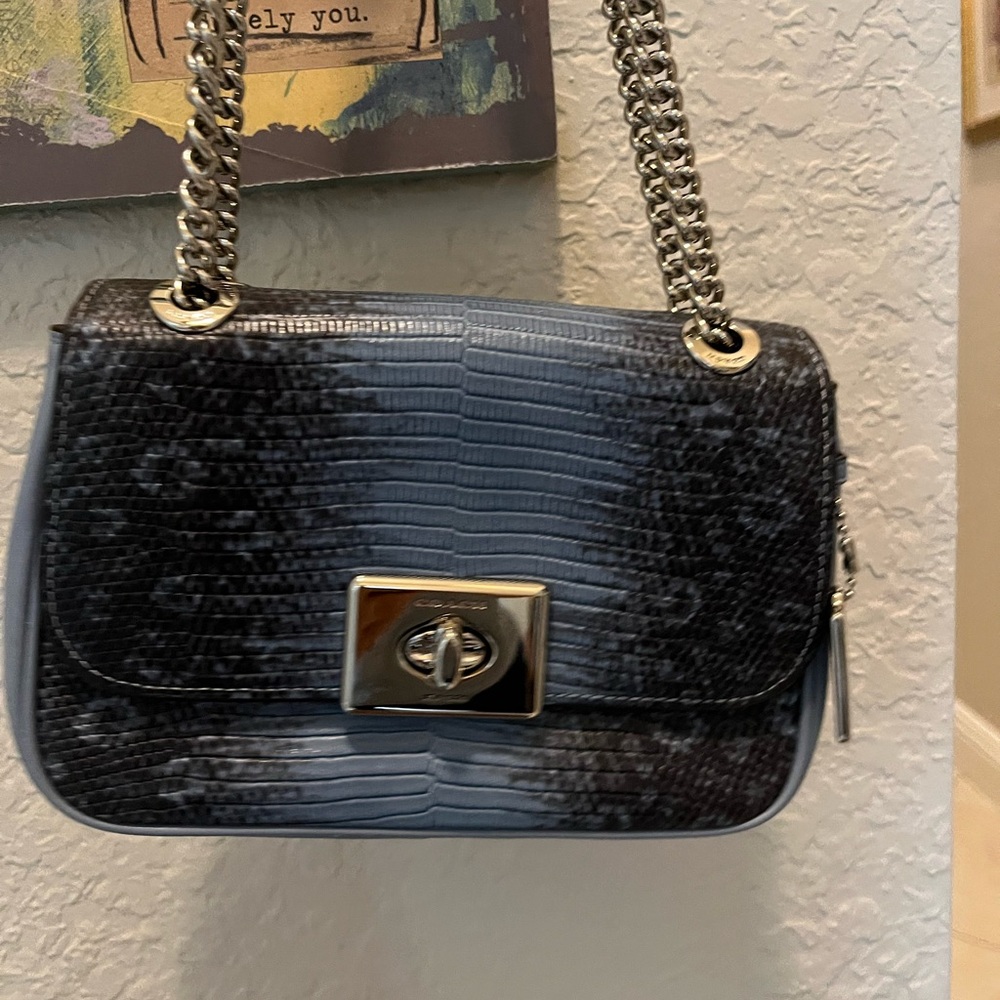 Coach Crossbody Bag